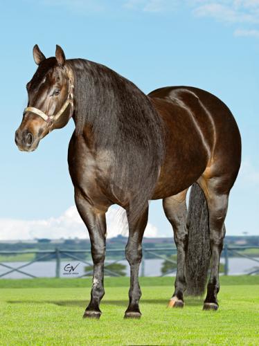 ANITA CHEX - Imagem 2