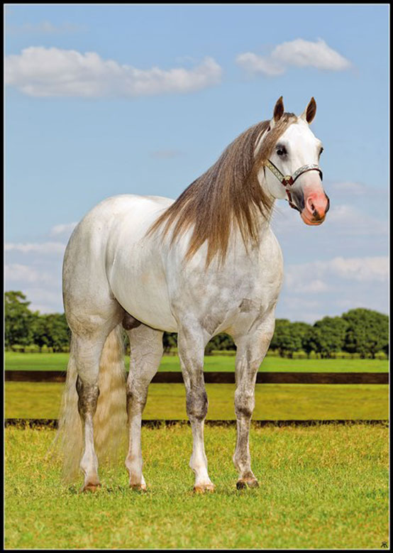 Highbrowlittlepistol - Imagem 1