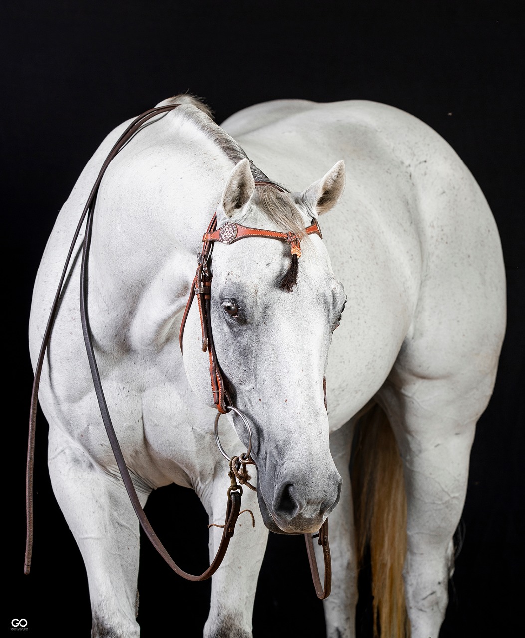 PRIME FISHERS MCM - Imagem 1