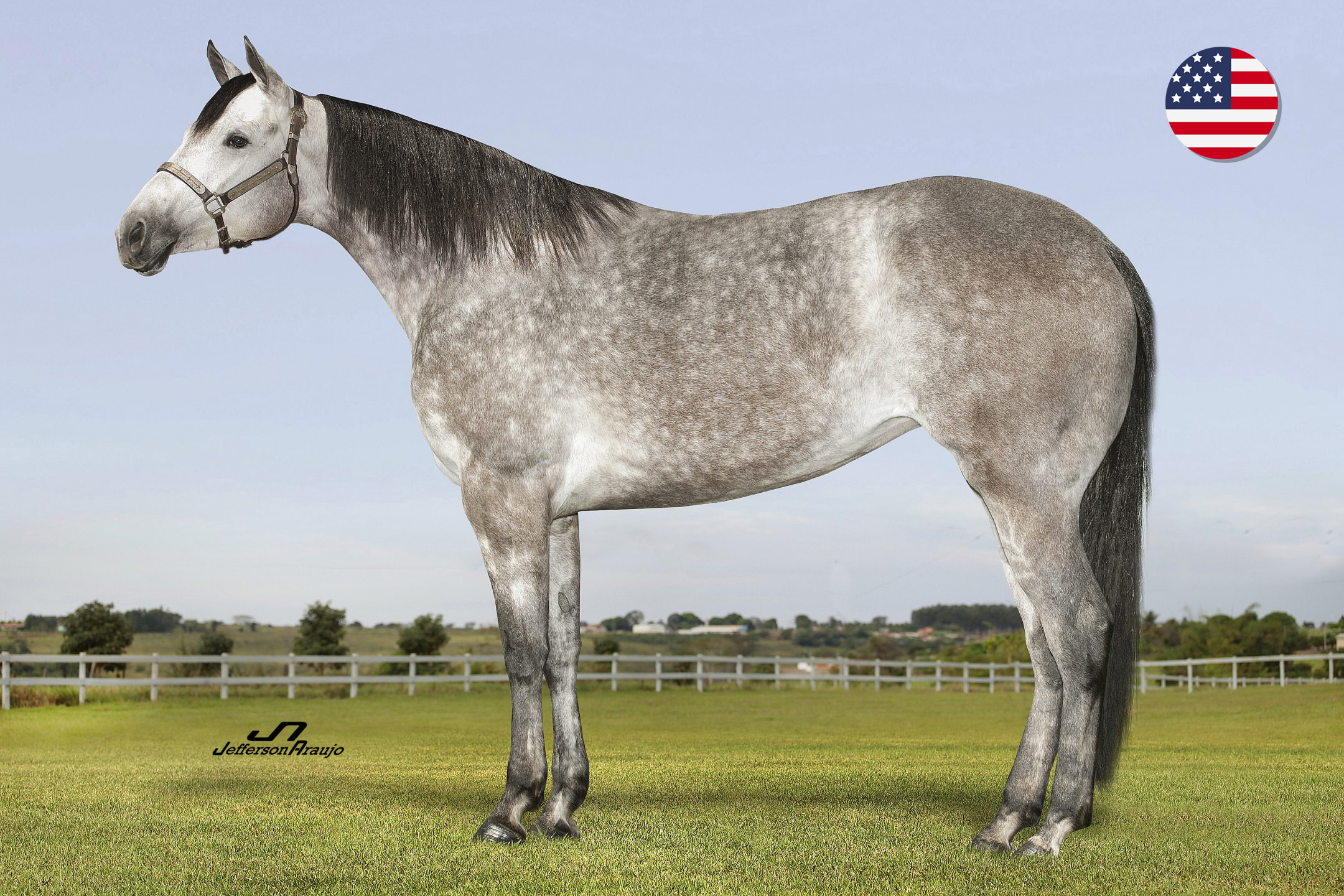 FIESTA UP - Imagem 1